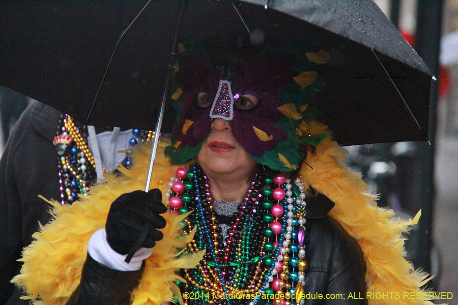2014-Mardi-Gras-Day-11824