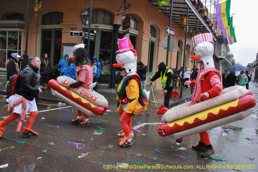 2014-Mardi-Gras-Day-11829