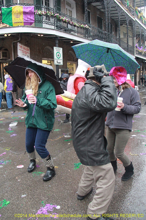 2014-Mardi-Gras-Day-11835