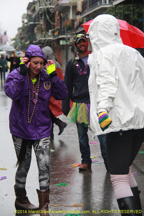 2014-Mardi-Gras-Day-11837