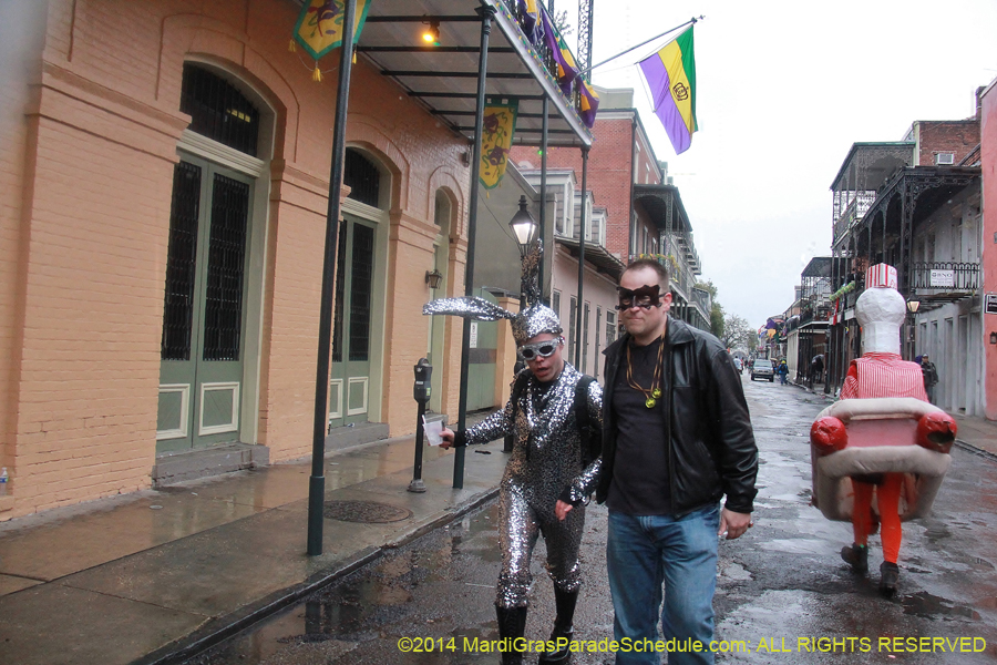 2014-Mardi-Gras-Day-11842