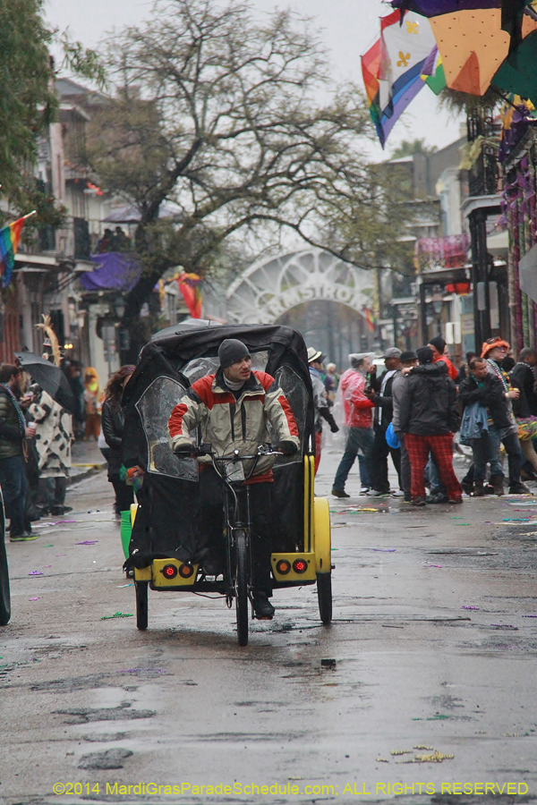 2014-Mardi-Gras-Day-11849