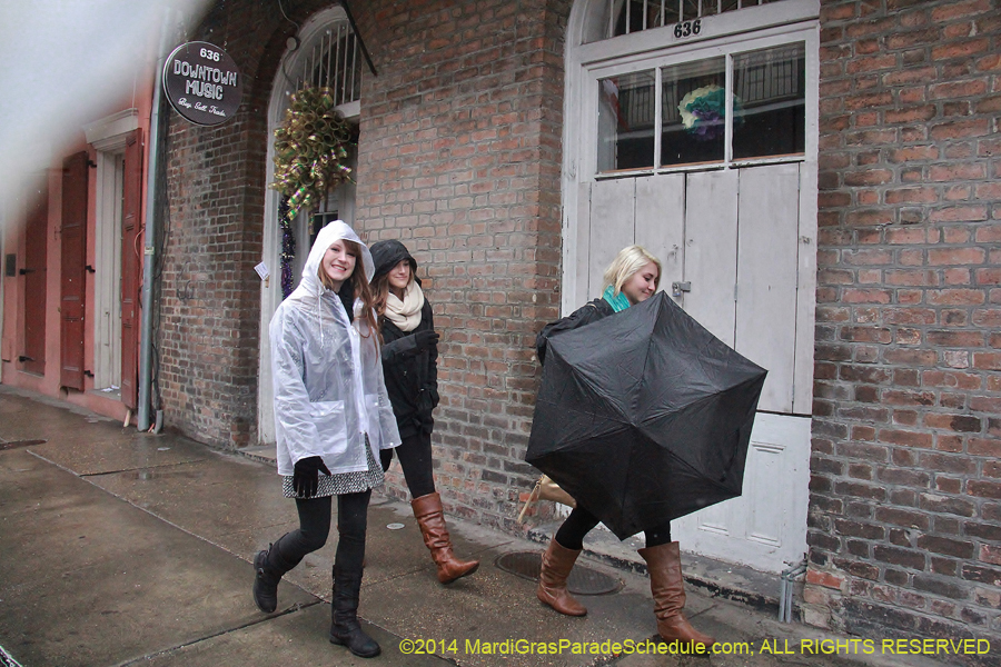 2014-Mardi-Gras-Day-11853