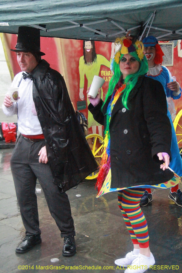 2014-Mardi-Gras-Day-11859