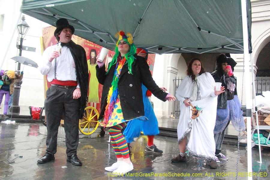 2014-Mardi-Gras-Day-11862