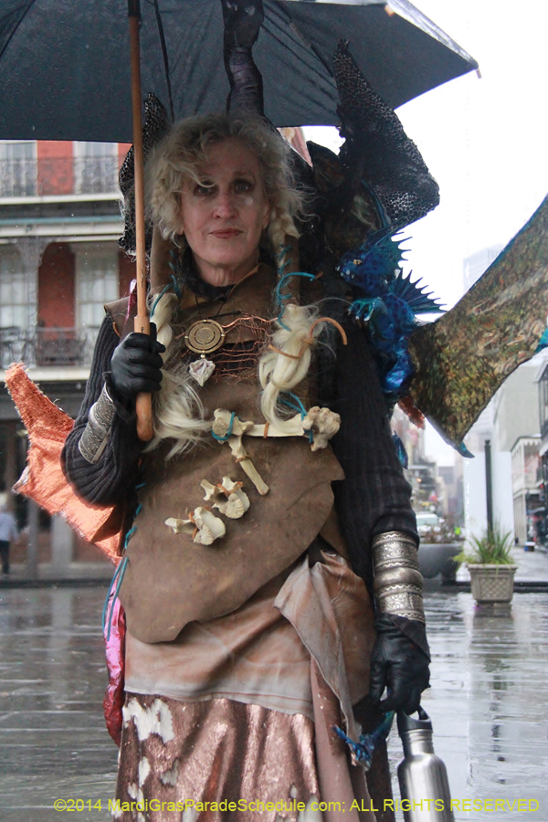 2014-Mardi-Gras-Day-11868