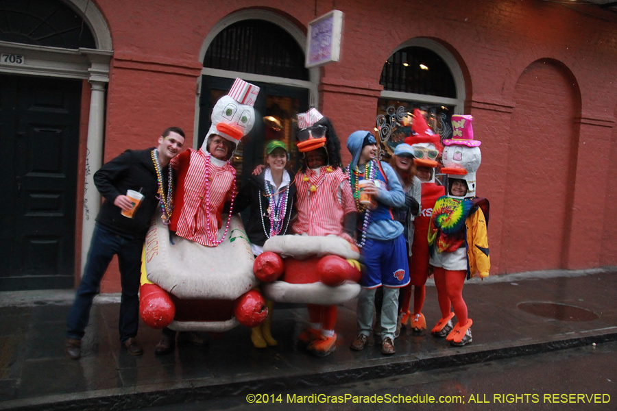 2014-Mardi-Gras-Day-11870