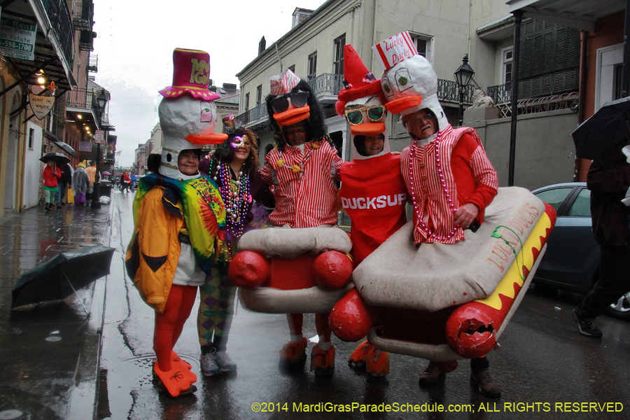 2014-Mardi-Gras-Day-11876