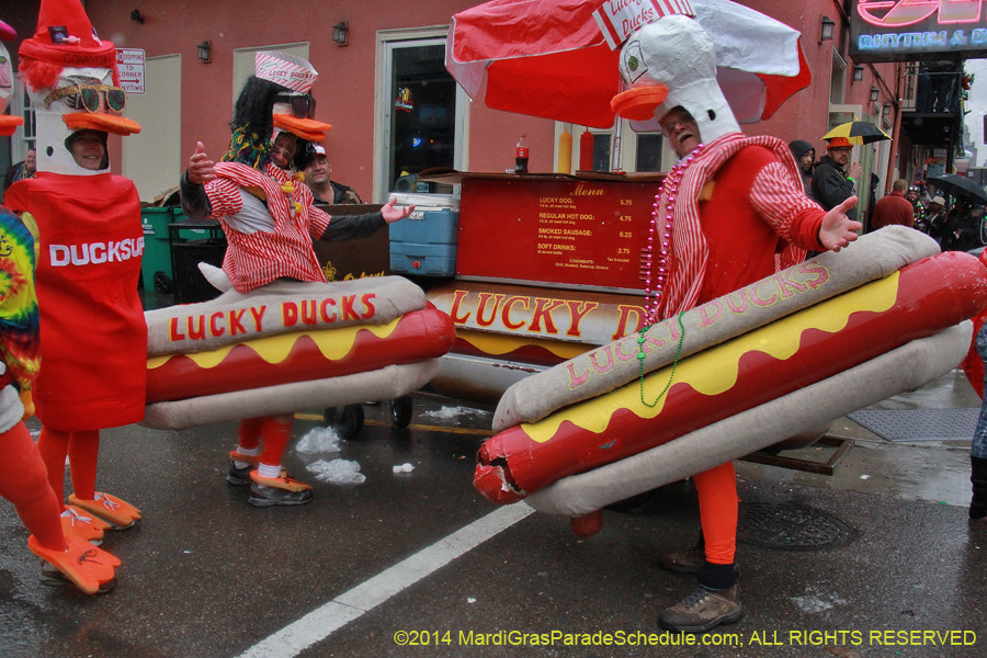 2014-Mardi-Gras-Day-11896