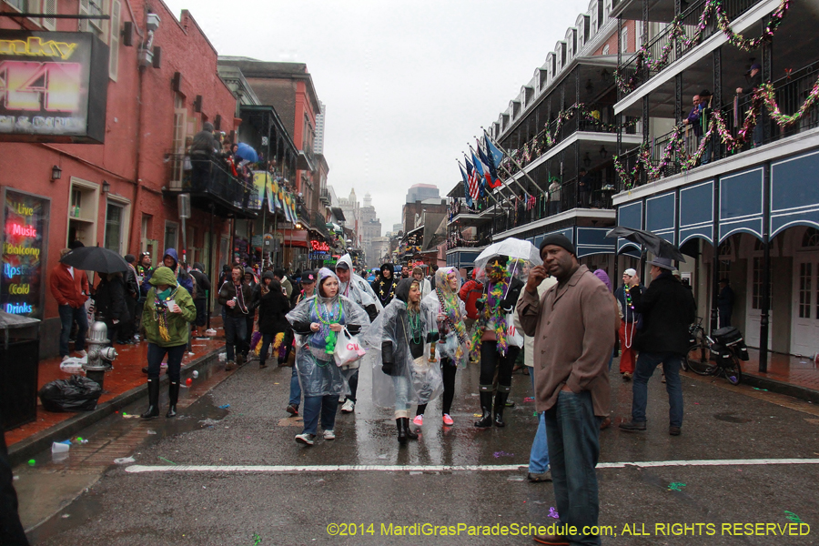 2014-Mardi-Gras-Day-11899