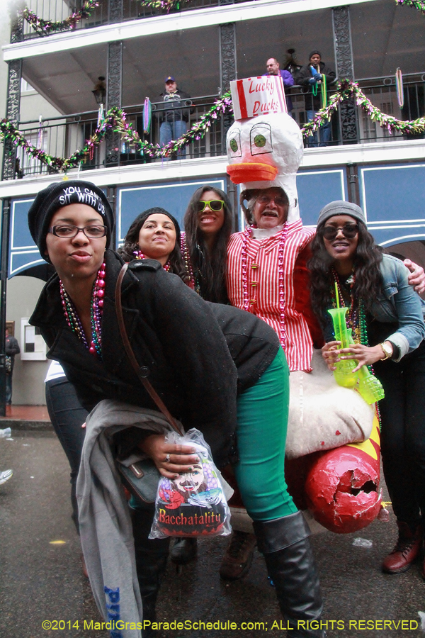 2014-Mardi-Gras-Day-11905