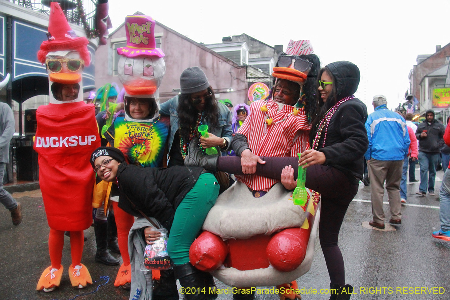 2014-Mardi-Gras-Day-11923
