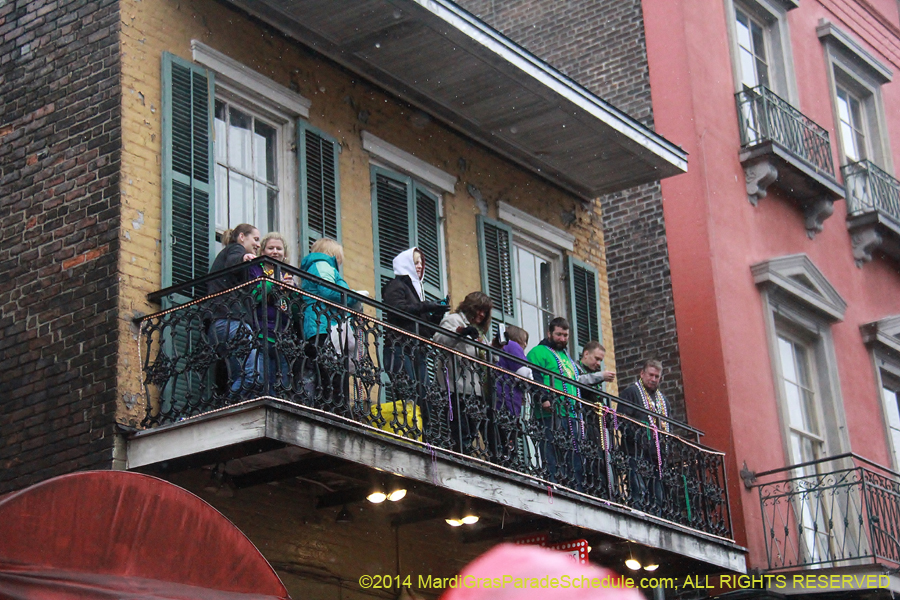 2014-Mardi-Gras-Day-11929