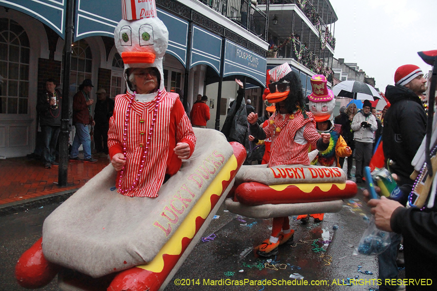 2014-Mardi-Gras-Day-11931