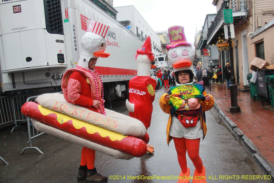 2014-Mardi-Gras-Day-11971