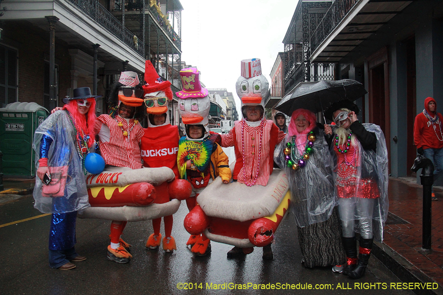 2014-Mardi-Gras-Day-11985