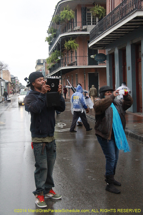 2014-Mardi-Gras-Day-11990