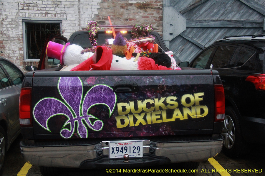 2014-Mardi-Gras-Day-11995