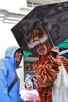 2014-Mardi-Gras-Day-11395