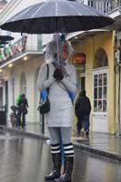 2014-Mardi-Gras-Day-11411