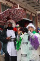 2014-Mardi-Gras-Day-11460