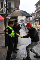 2014-Mardi-Gras-Day-11492