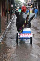 2014-Mardi-Gras-Day-11599