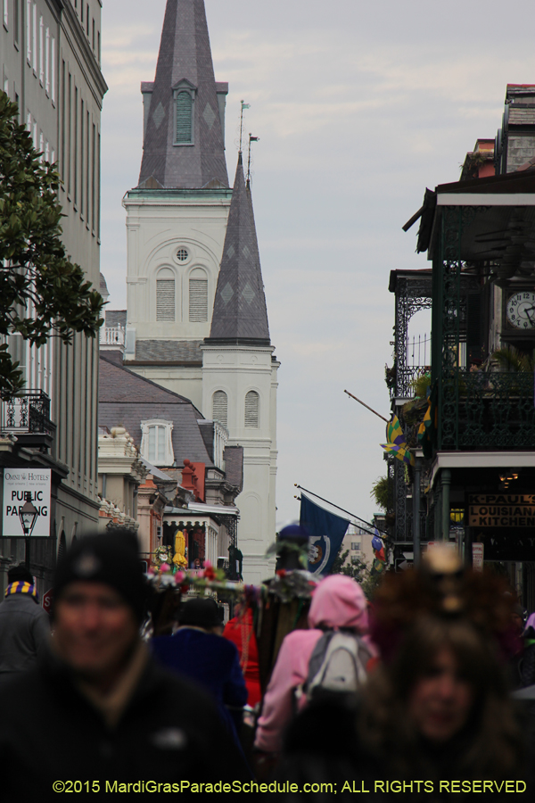 Mardi-Gras-Day-French-Qua-2015-20129