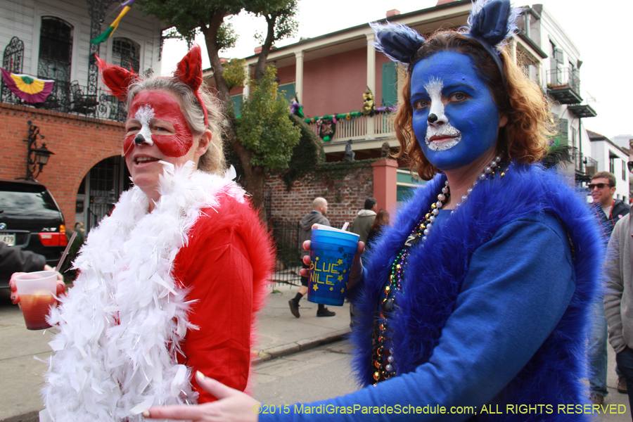 Mardi-Gras-Day-French-Qua-2015-20229