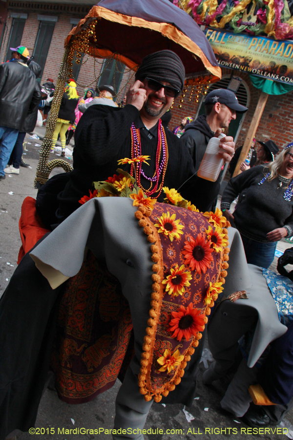 Mardi-Gras-Day-French-Qua-2015-20270