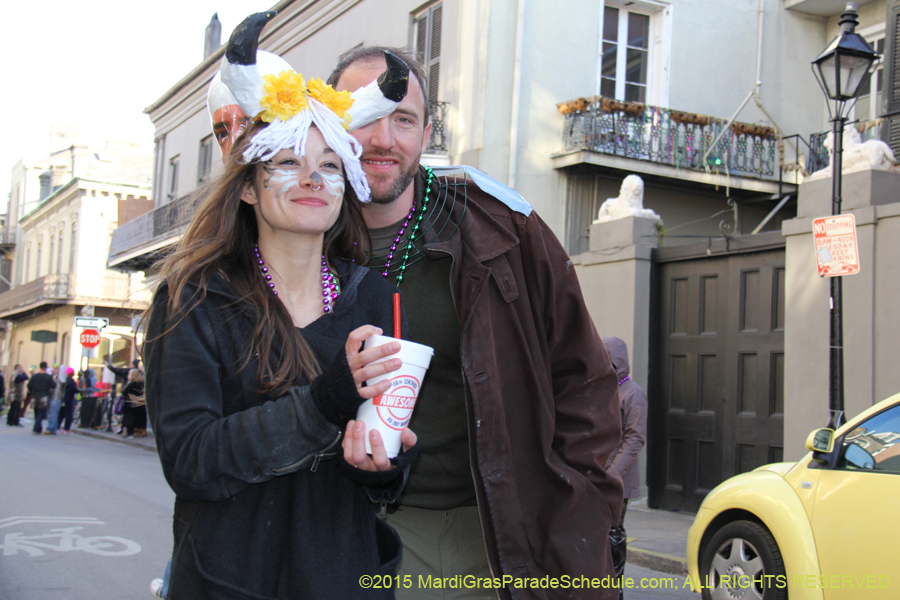 Mardi-Gras-Day-French-Qua-2015-20327