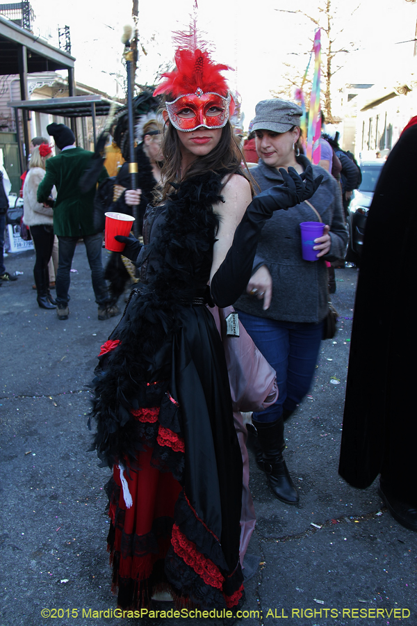 Mardi-Gras-Day-French-Qua-2015-20383