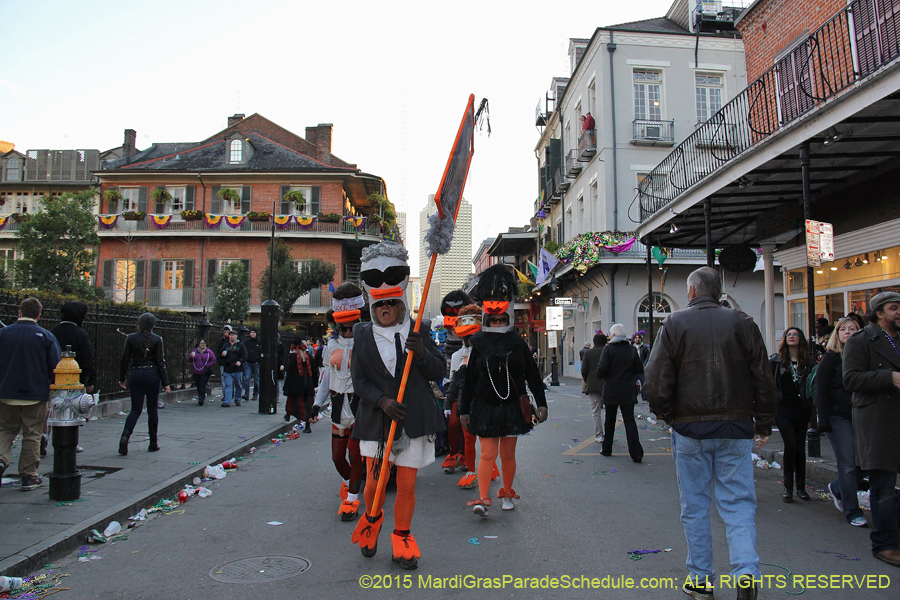 Mardi-Gras-Day-French-Qua-2015-20445