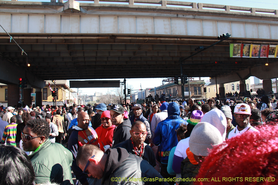 2016-Mardi-Gras-Day-walk015119