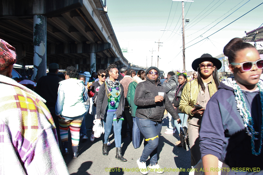 2016-Mardi-Gras-Day-walk015123