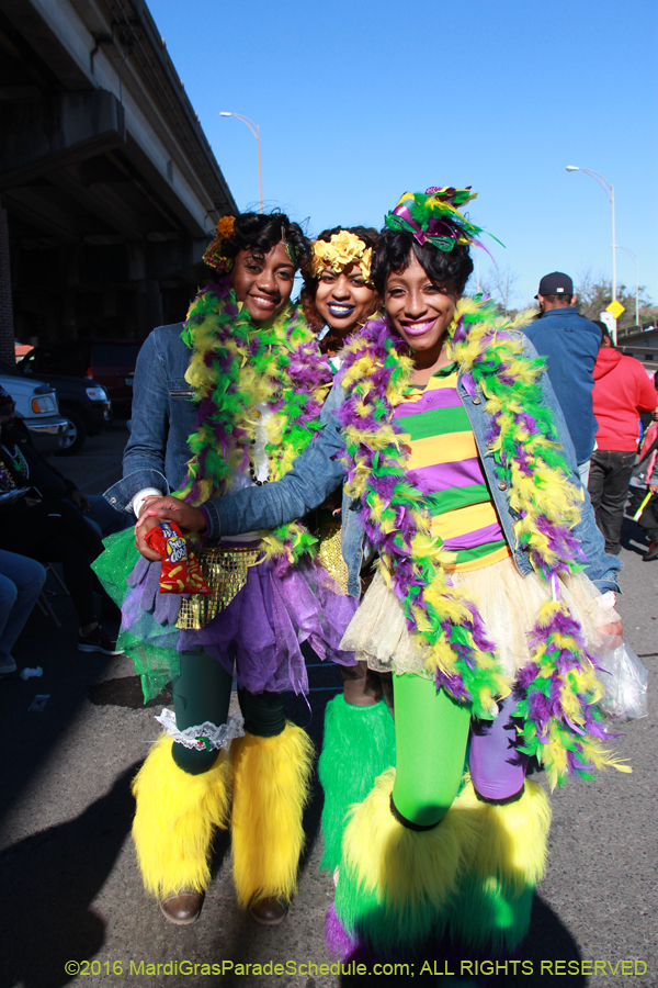 2016-Mardi-Gras-Day-walk015135