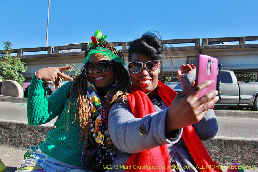 2016-Mardi-Gras-Day-walk015136
