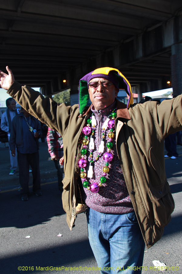 2016-Mardi-Gras-Day-walk015140