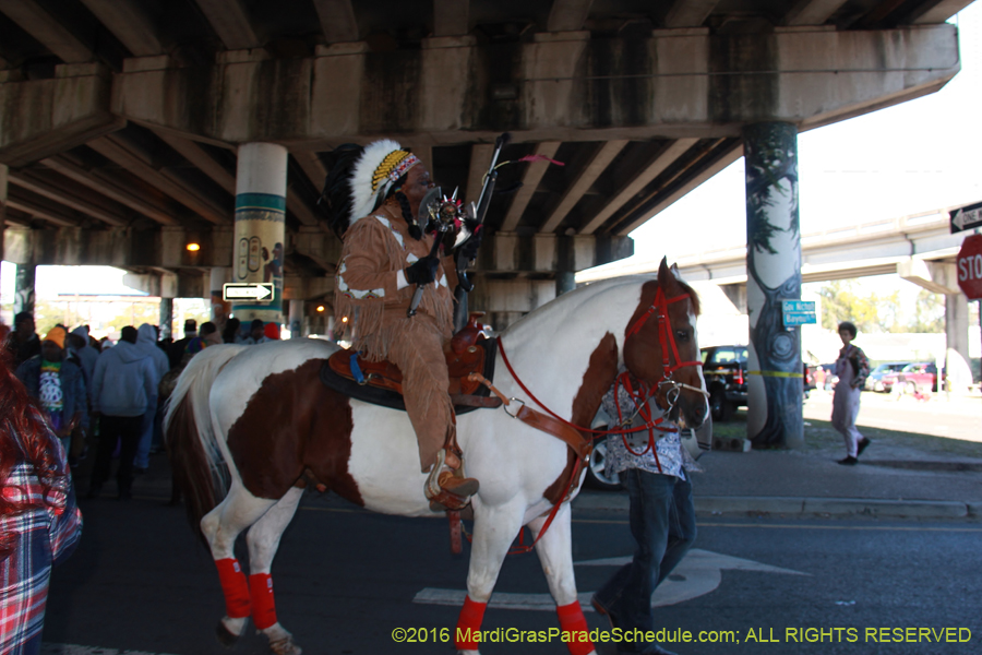 2016-Mardi-Gras-Day-walk015143