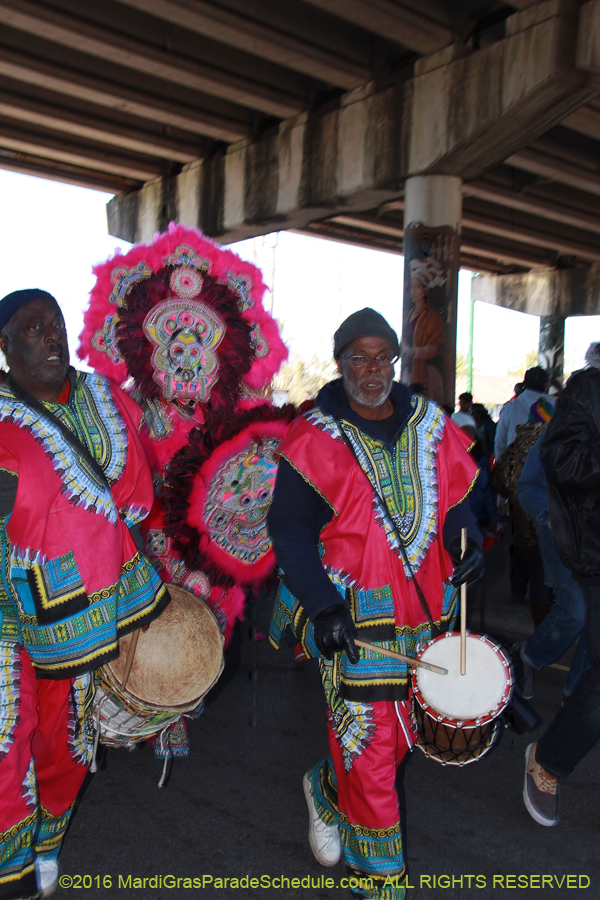 2016-Mardi-Gras-Day-walk015144