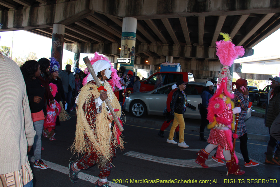 2016-Mardi-Gras-Day-walk015145