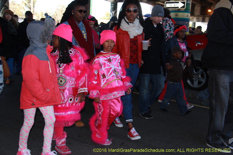 2016-Mardi-Gras-Day-walk015146