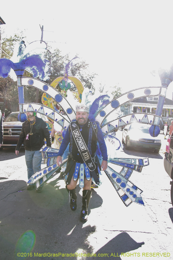 2016-Mardi-Gras-Day-walk015147