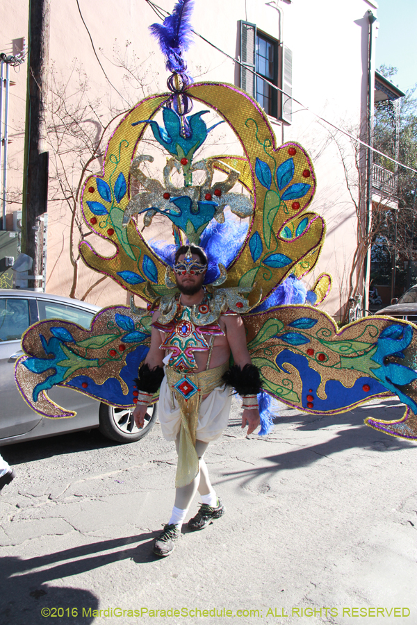 2016-Mardi-Gras-Day-walk015148