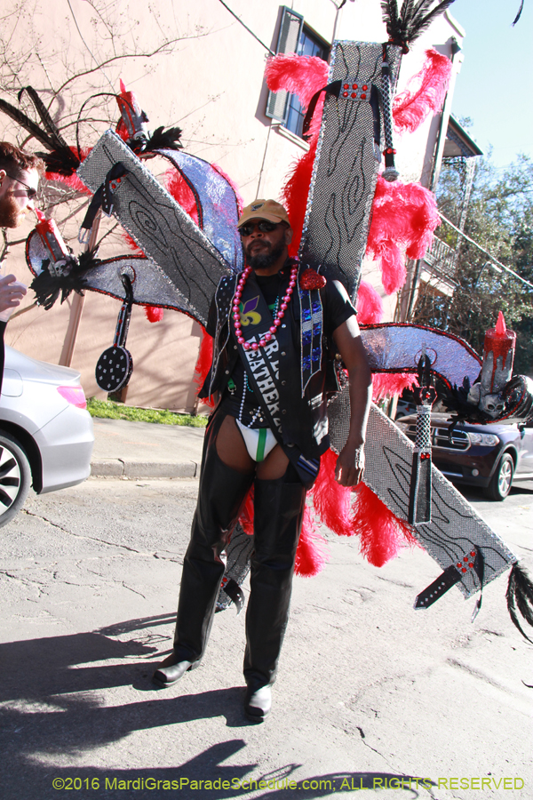 2016-Mardi-Gras-Day-walk015149