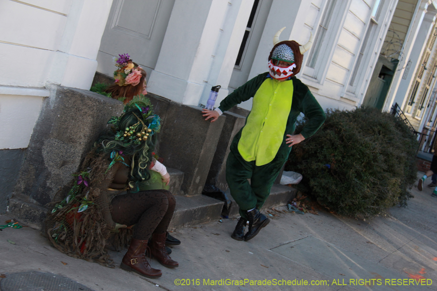 2016-Mardi-Gras-Day-walk015151