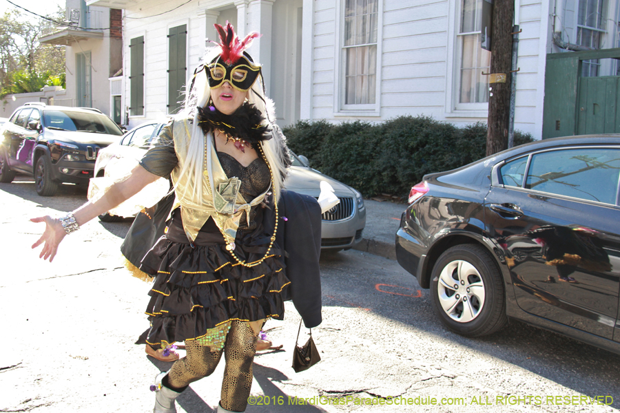 2016-Mardi-Gras-Day-walk015155
