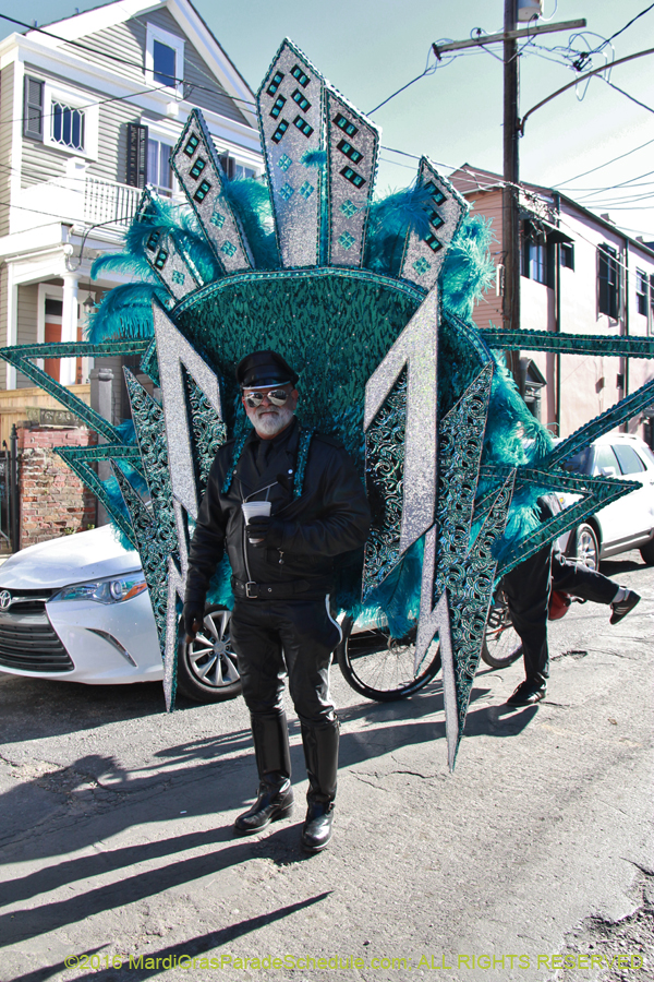 2016-Mardi-Gras-Day-walk015157