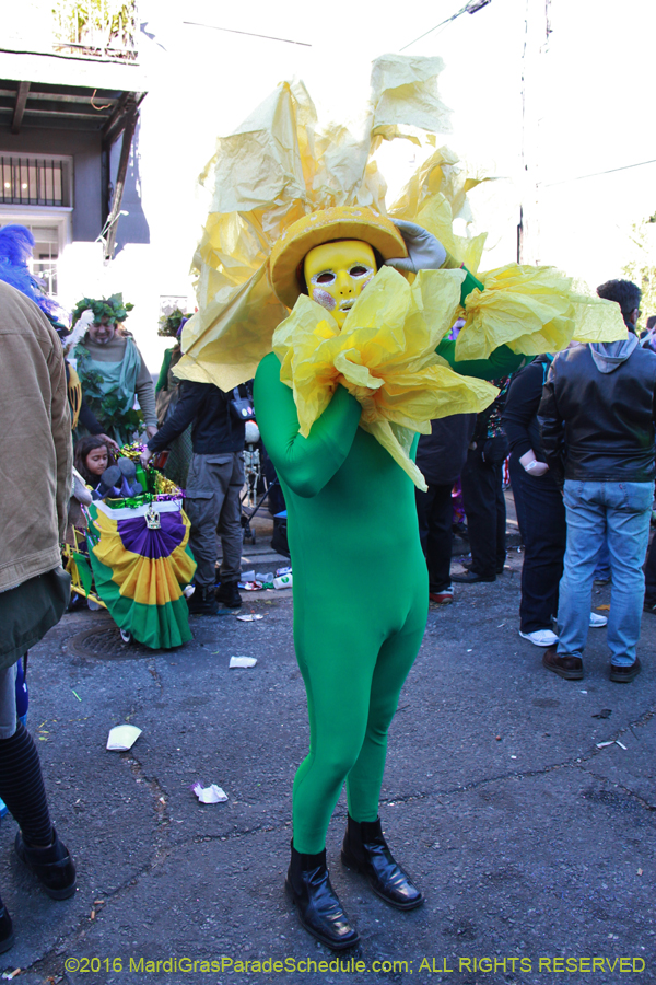 2016-Mardi-Gras-Day-walk015160