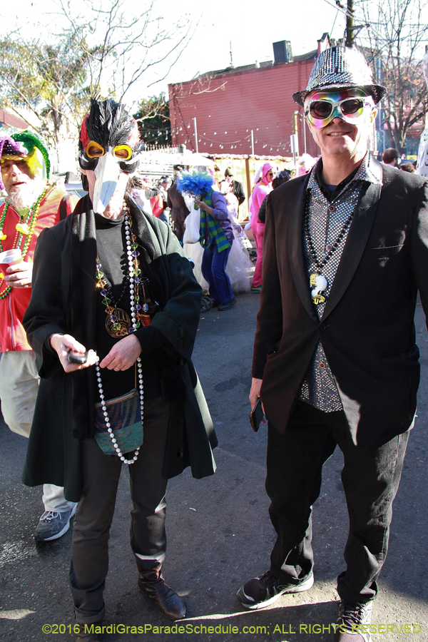 2016-Mardi-Gras-Day-walk015176
